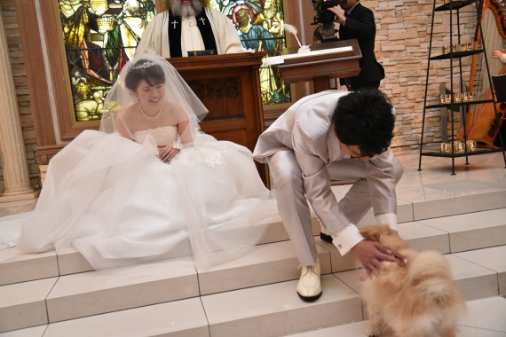 結婚式にはだいすきな愛犬も招待したい 愛知 三河安城の結婚式場 公式 フェリシアコート